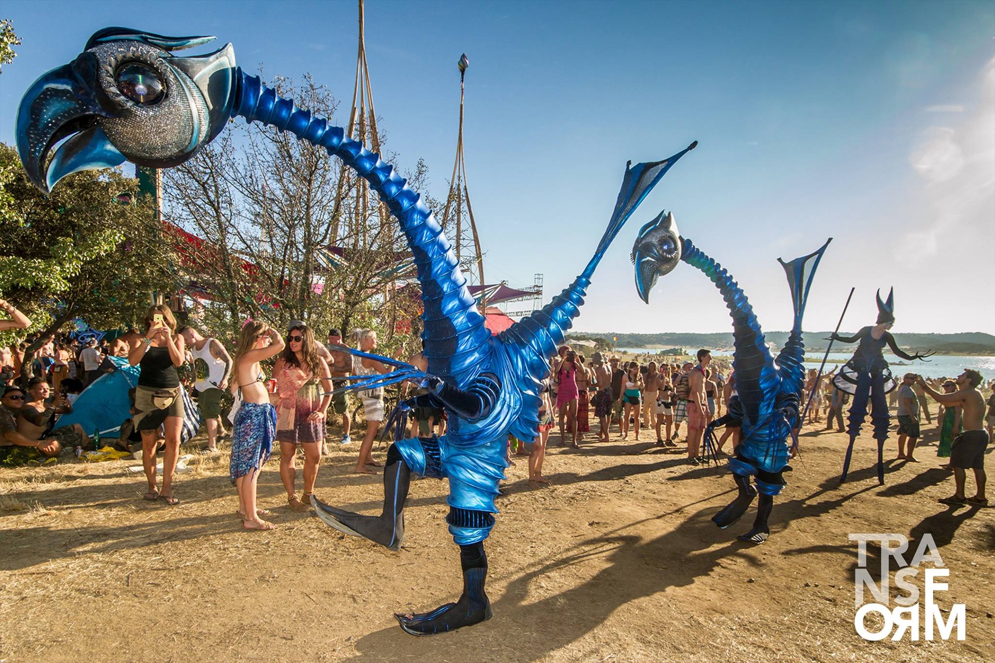 Μία έκδοση με υπέροχες φωτογραφίες από τις μεγαλύτερες μουσικές γιορτές του πλανήτη