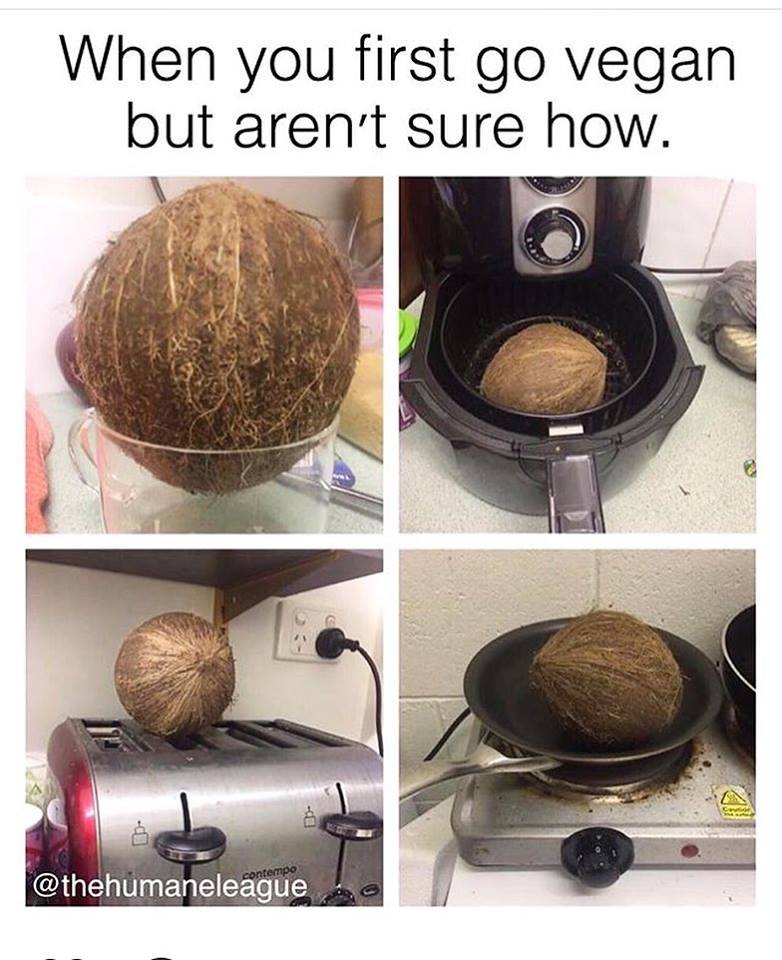 Τα YOLO του Σαββάτου