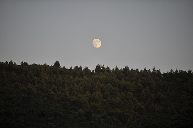 ΠΗΛΙΟ ΣΕΛΗΝΗ ΦΕΓΓΑΡΙ ΠΑΝΣΕΛΗΝΟΣ