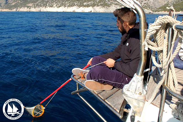 α δελφίνια πεθαίνουν στις ελληνικές παραλίες, γεμάτα πλαστικό στο στομάχι τους