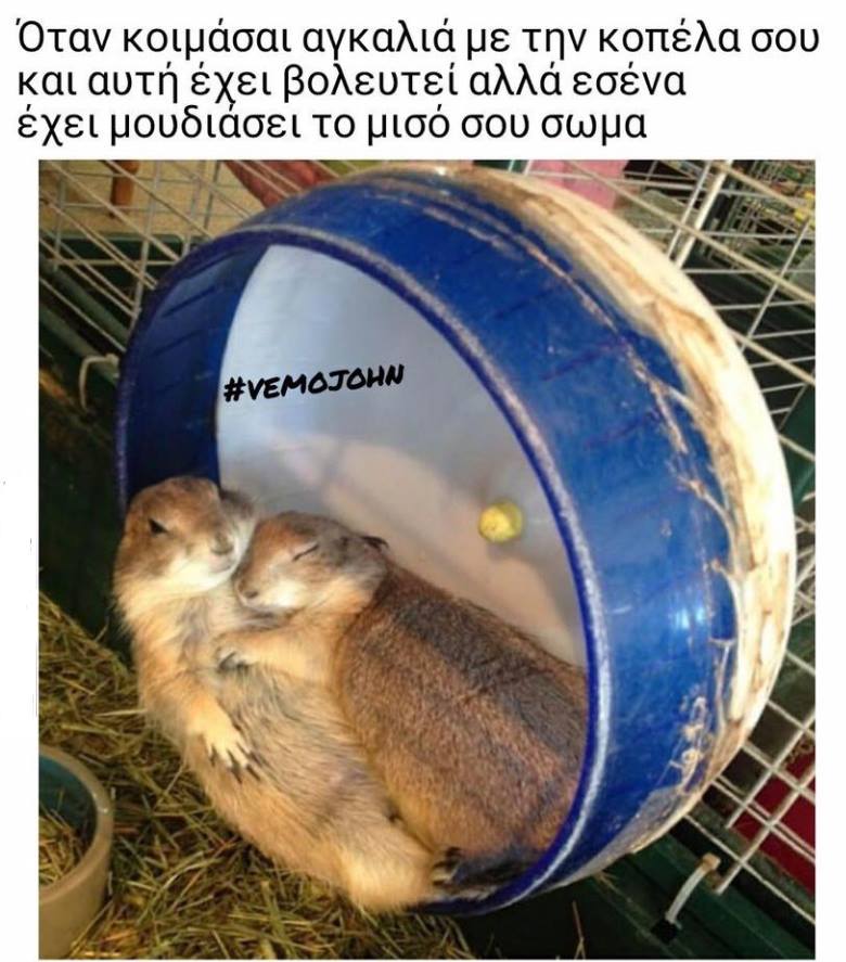 Τα YOLO της Παρασκευής