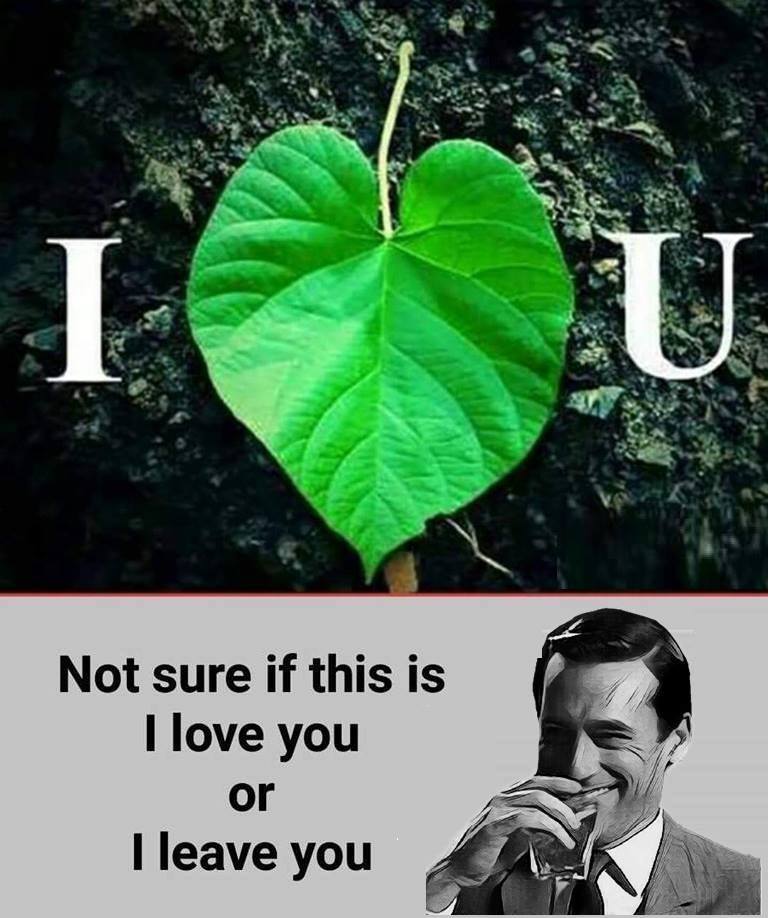 Τα YOLO της Κυριακής Τα YOLO της Κυριακής