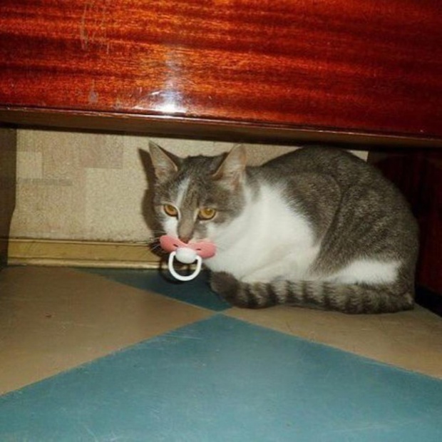 10 εικόνες-διαμαντάκια που θα δυσκολευτείς να πιστέψεις 10 εικόνες-διαμαντάκια που θα δυσκολευτείς να πιστέψεις