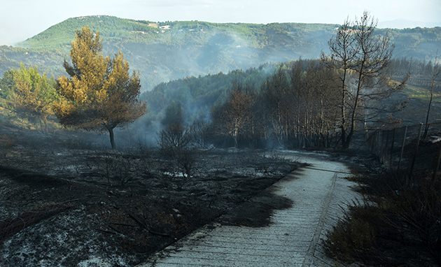 ΠΥΡΚΑΓΙΑ ΣΤΗΝ ΑΝΑΤ. ΑΤΤΙΚΗ 