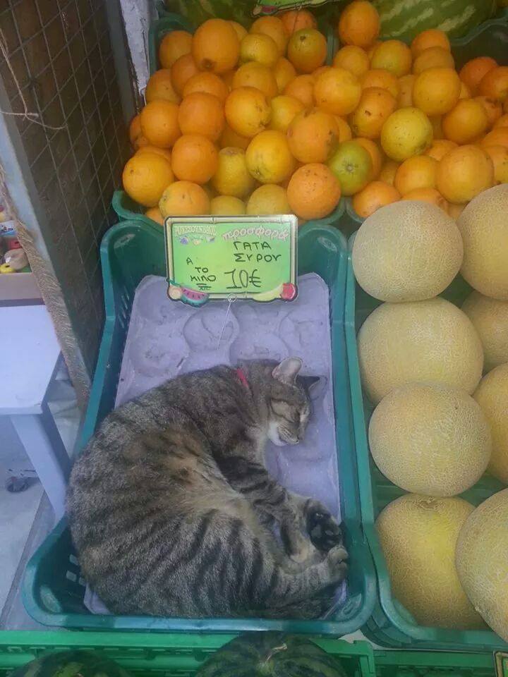 Τα YOLO της Τετάρτης