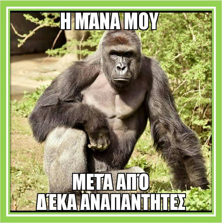 Τα YOLO της Τετάρτης