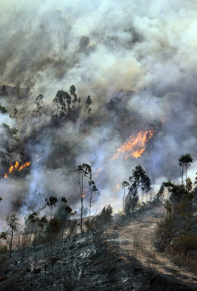 Πορτογαλία