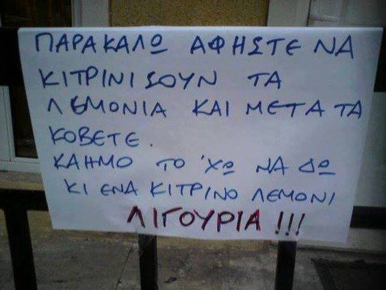 Τα YOLO της Πέμπτης