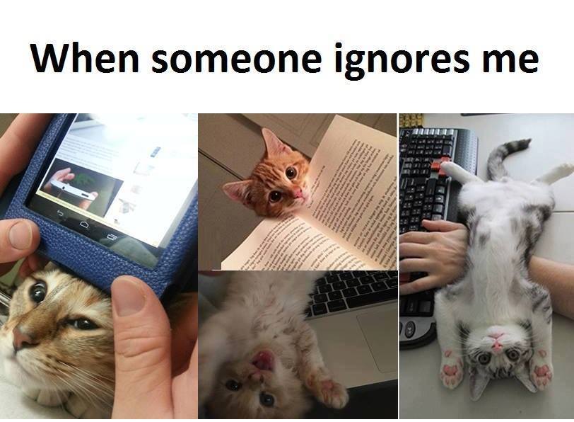 Τα YOLO της Παρασκευής