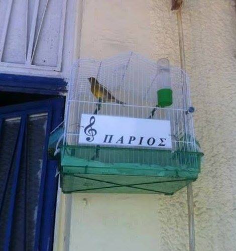 Τα YOLO της Παρασκευής