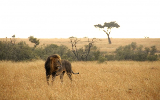 O Σάκης Γιούμπασης απαντά σε 10 ερωτήσεις μόνο με φωτογραφίες του O Σάκης Γιούμπασης απαντά σε 10 ερωτήσεις μόνο με φωτογραφίες του