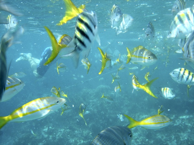 O Σάκης Γιούμπασης απαντά σε 10 ερωτήσεις μόνο με φωτογραφίες του O Σάκης Γιούμπασης απαντά σε 10 ερωτήσεις μόνο με φωτογραφίες του