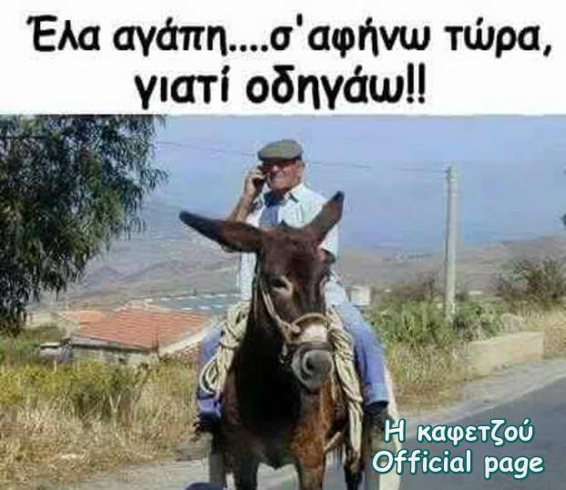 Τα YOLO της Τρίτης Τα YOLO της Τρίτης