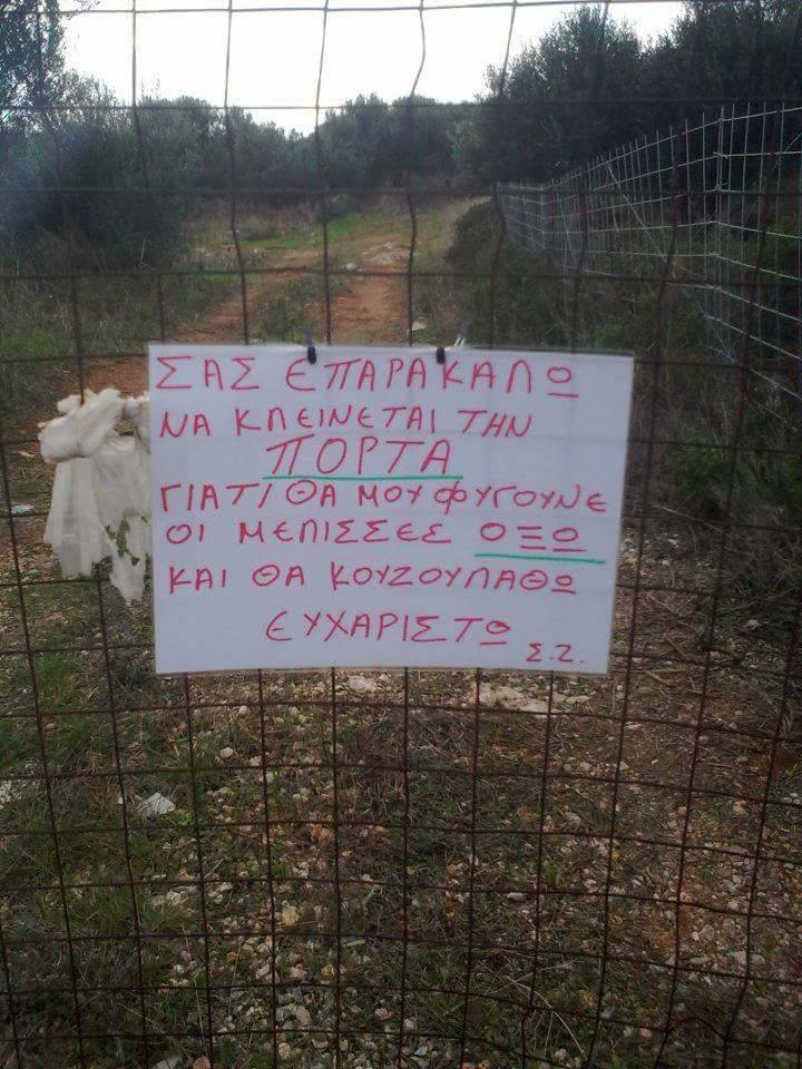 Τα YOLO της Τετάρτης