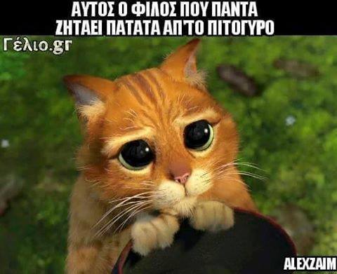 Τα YOLO της Πέμπτης