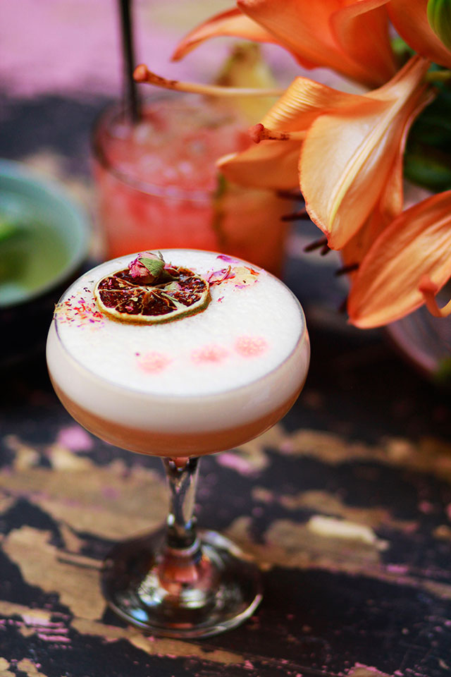 Velvet Queen Velvet Queen