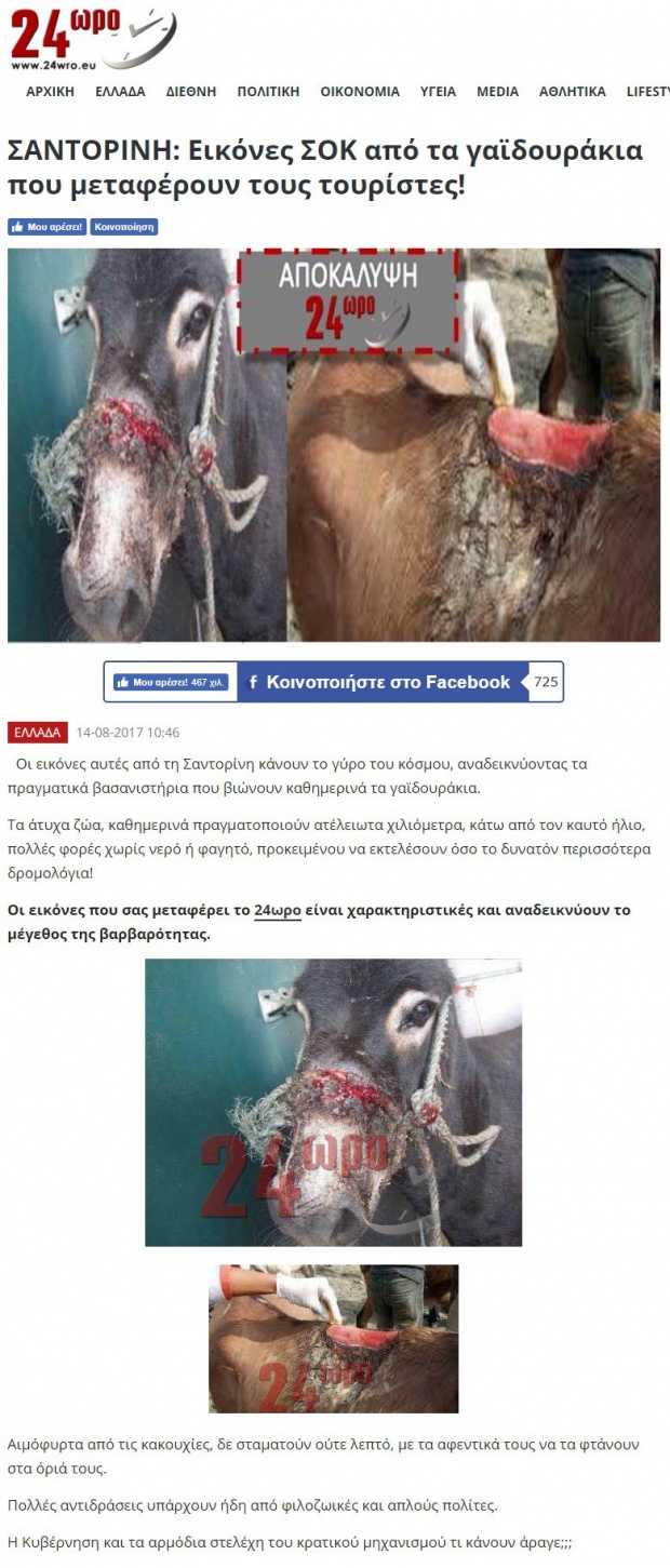 Αυτά τα γαϊδουράκια ΔΕΝ είναι στη Σαντορίνη Αυτά τα γαϊδουράκια ΔΕΝ είναι στη Σαντορίνη