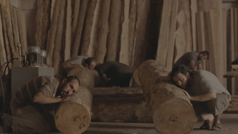 Ο κόλπος Ο κόλπος