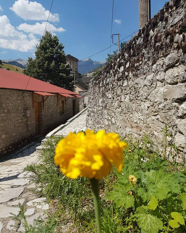 © Δημήτρης Χρόνης / Χαλίκι Ασπροποτάμου