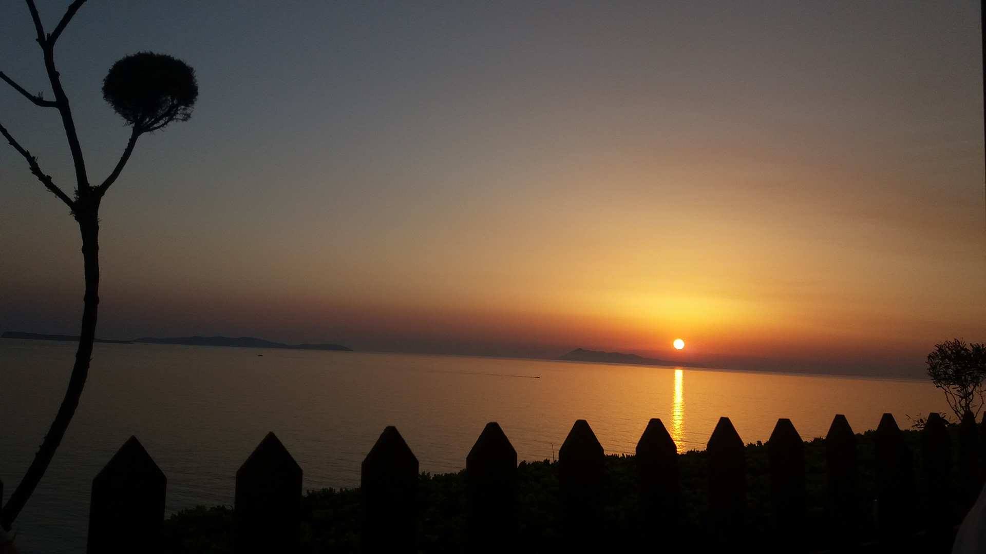 © Alexandros Frantzis / Λογγάς, Κέρκυρα