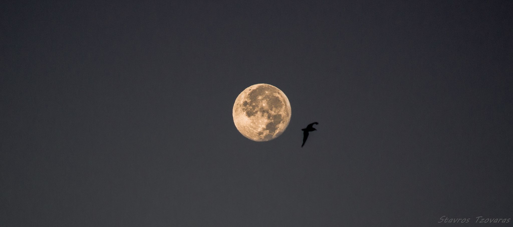 © Stavros Tzovaras / Σχεδόν Πανσέληνος