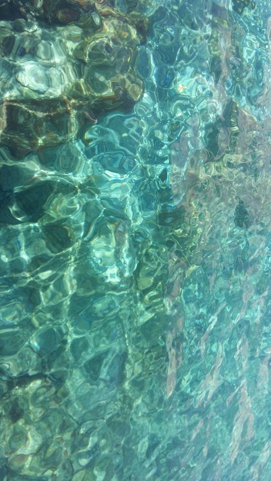 © Γιώργος Αλεξόπουλος / Κυπαρίσσι Λακωνίας