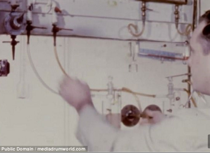  Παιδιά – πειραματόζωα 