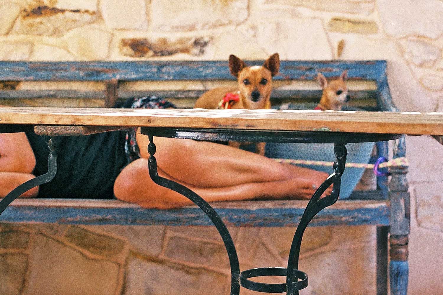 Summer legs!!! Summer legs!!!