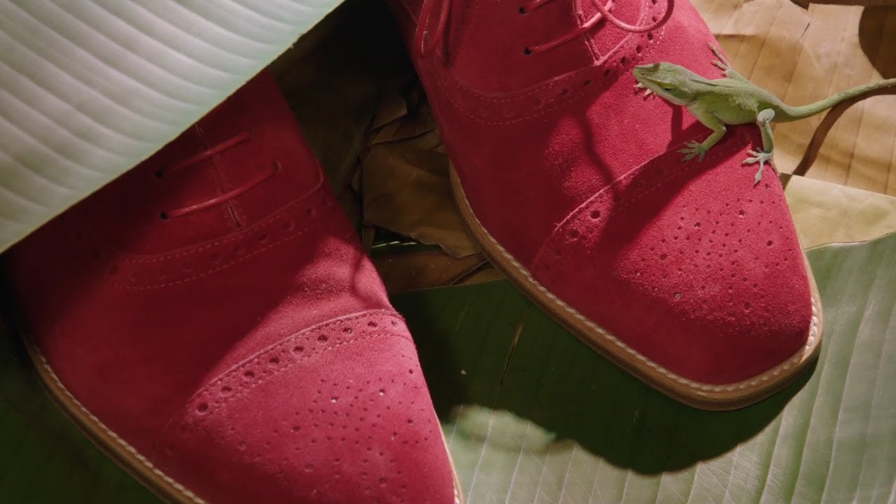 Μπείτε στον κόσμο του Manolo Blahnik Μπείτε στον κόσμο του Manolo Blahnik