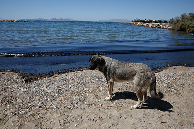 ΠΛΑΖ ΑΓΙΟΥ ΚΟΣΜΑ 