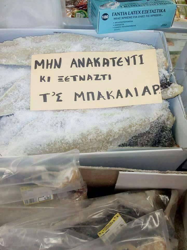 Τα YOLO της Πέμπτης
