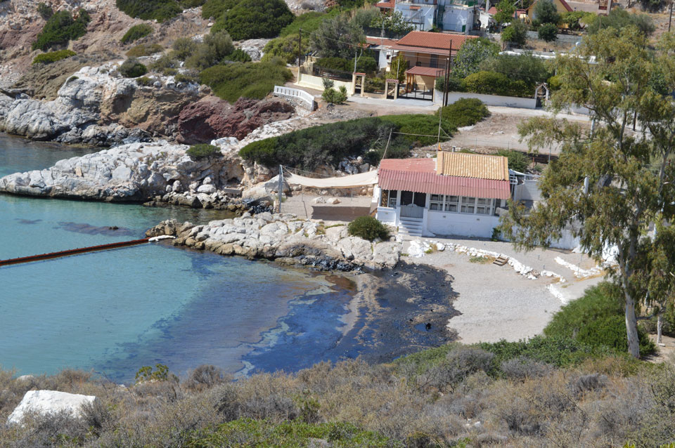 Κυνόσουρα Σαλαμίνας Κυνόσουρα Σαλαμίνας