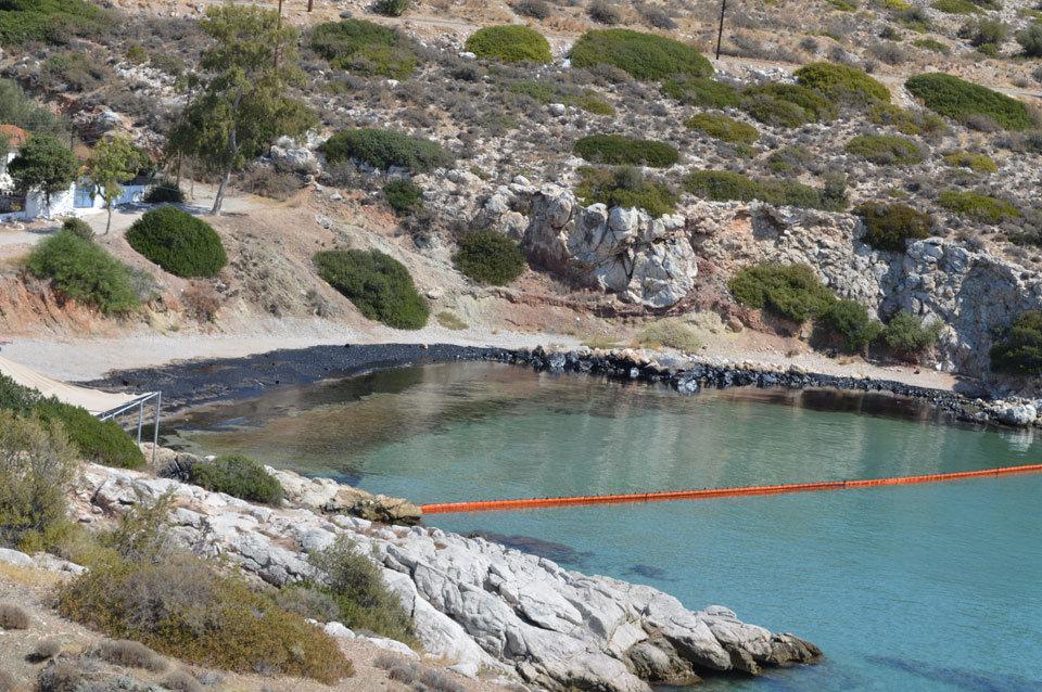 Κυνόσουρα Σαλαμίνας Κυνόσουρα Σαλαμίνας