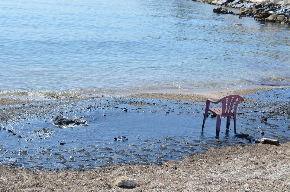 Κυνόσουρα Σαλαμίνας Κυνόσουρα Σαλαμίνας