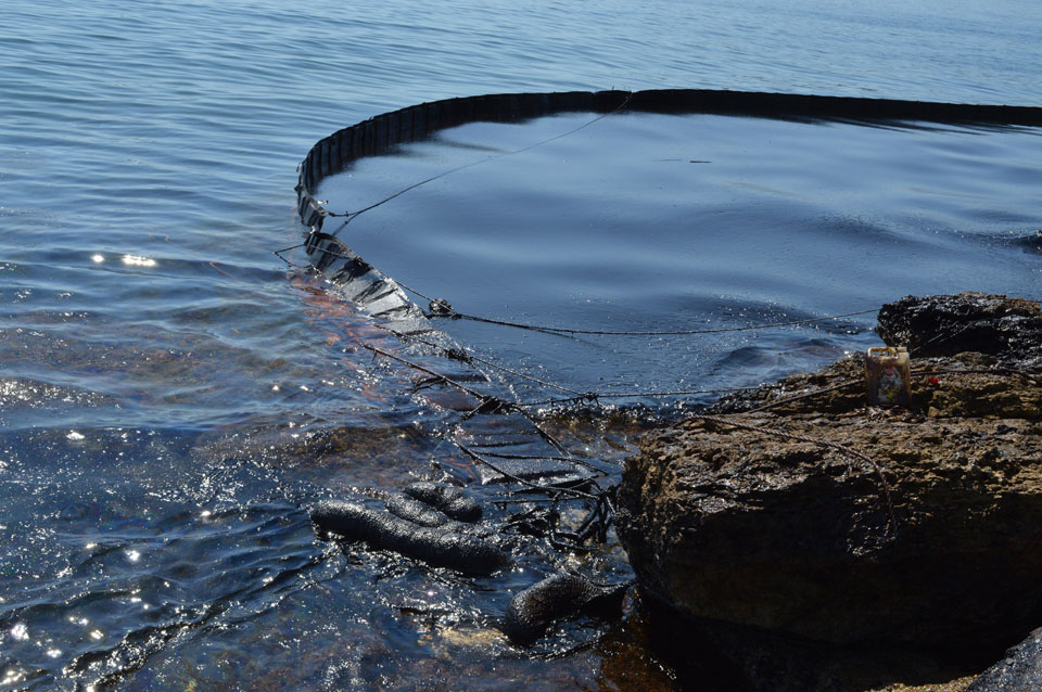 Κυνόσουρα Σαλαμίνας Κυνόσουρα Σαλαμίνας