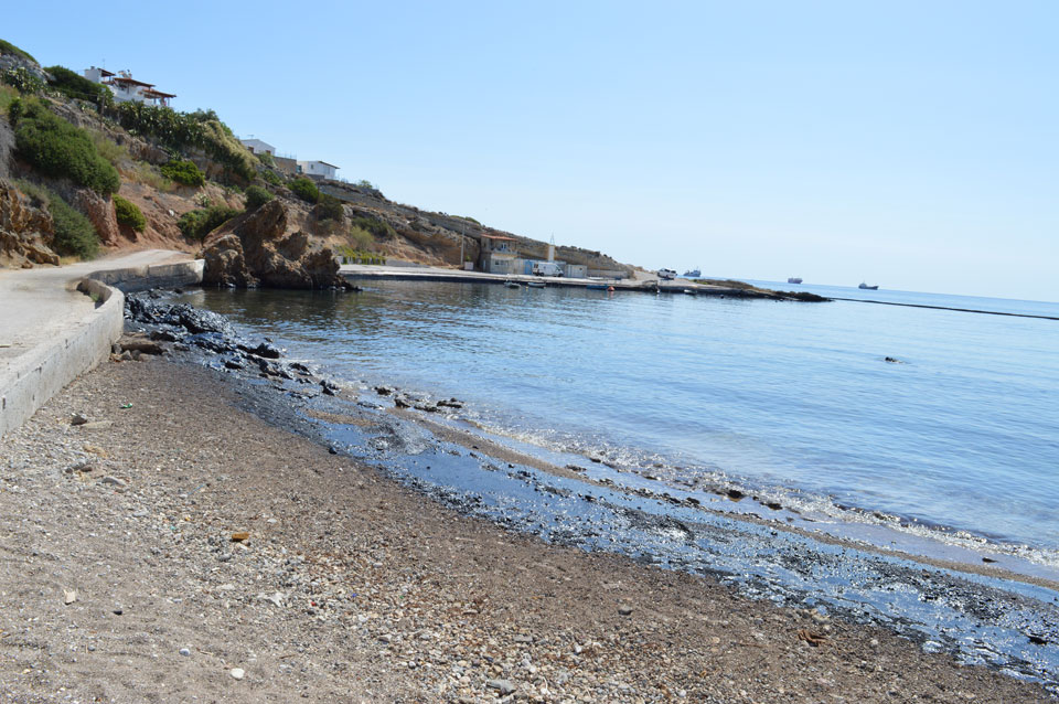 Κυνόσουρα Σαλαμίνας Κυνόσουρα Σαλαμίνας