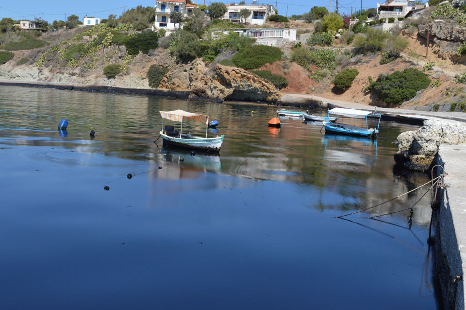 Κυνόσουρα Σαλαμίνας Κυνόσουρα Σαλαμίνας