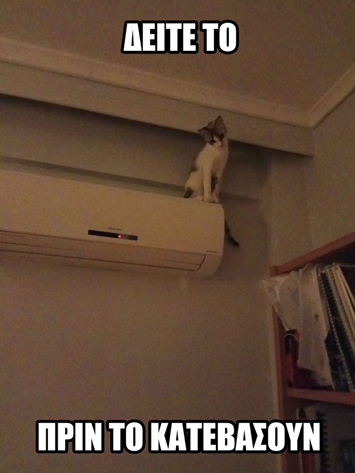 Τα YOLO της Παρασκευής