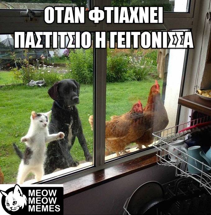 τα YOLO της Κυριακής