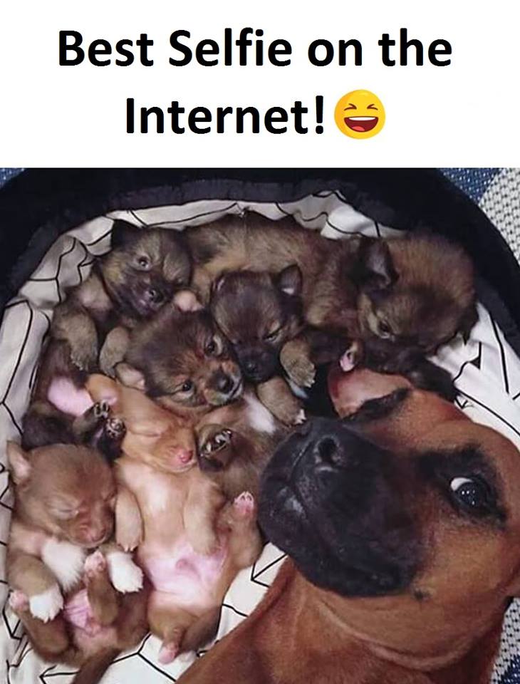 τα YOLO της Κυριακής