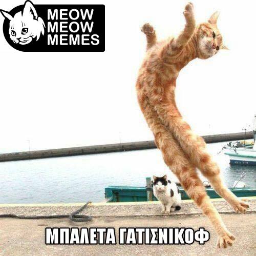 Τα YOLO της Δευτέρας Τα YOLO της Δευτέρας