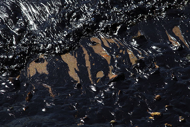 ΟΙΚΟΛΟΓΙΑ ΑΠΟΡΡΥΠΑΝΣΗ ΟΙΚΟΛΟΓΙΑ ΑΠΟΡΡΥΠΑΝΣΗ