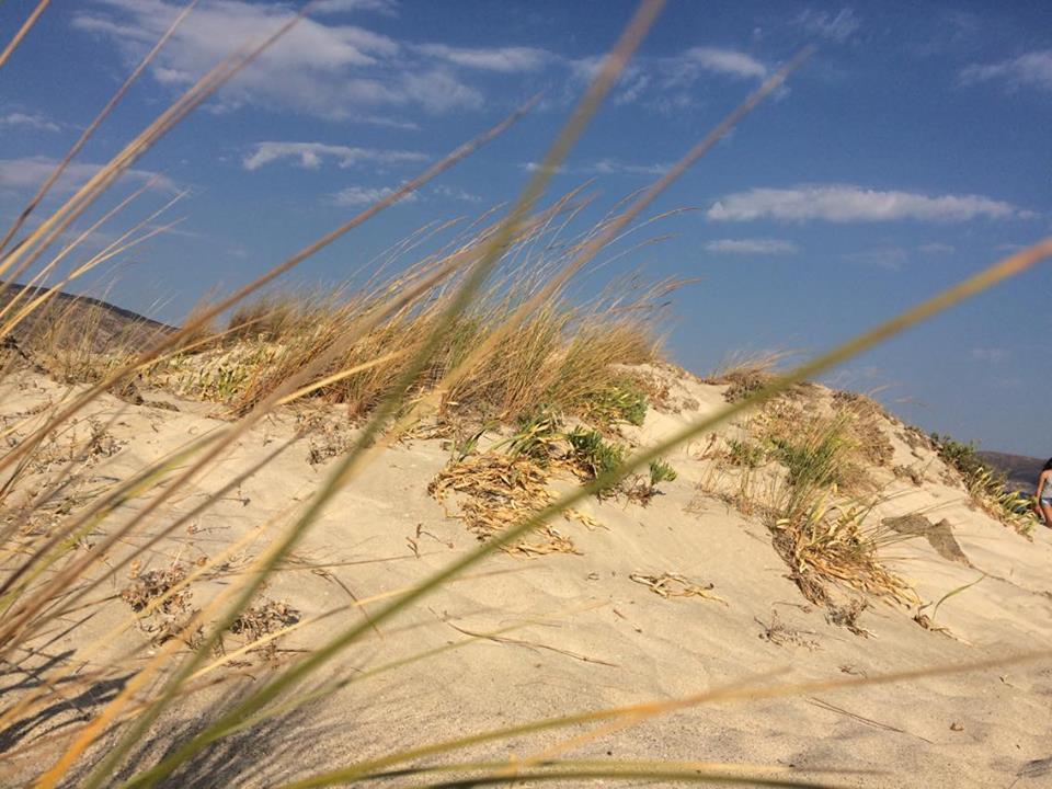 © Christina Manousaki / Ελαφονήσι