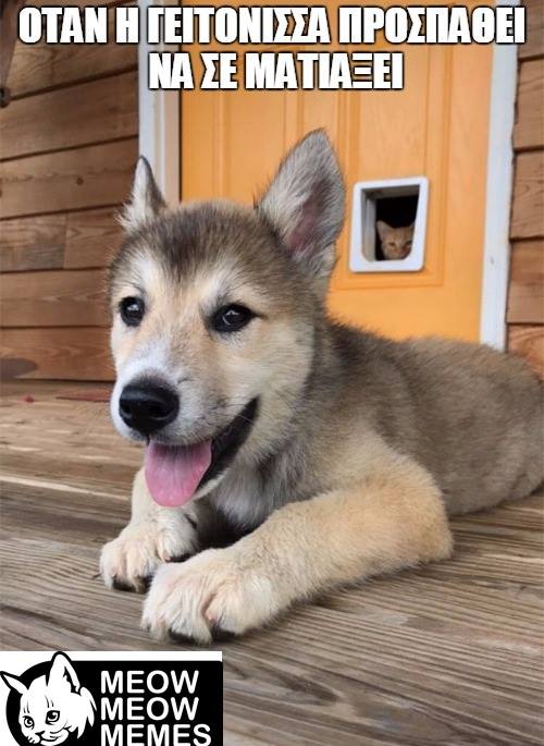 Τα yolo της Πέμπτης