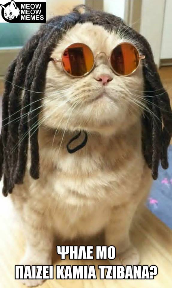 Τα yolo της Παρασκευής