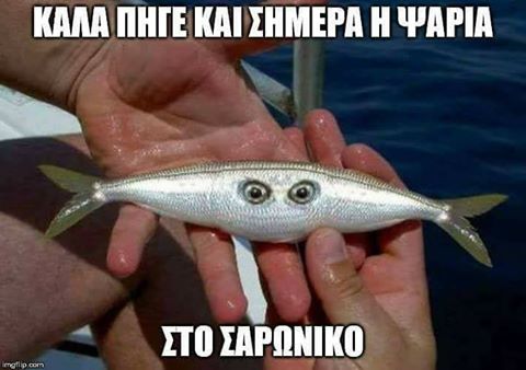 Τα yolo της Παρασκευής