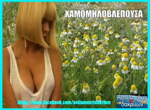 Τα yolo του Σαββάτου