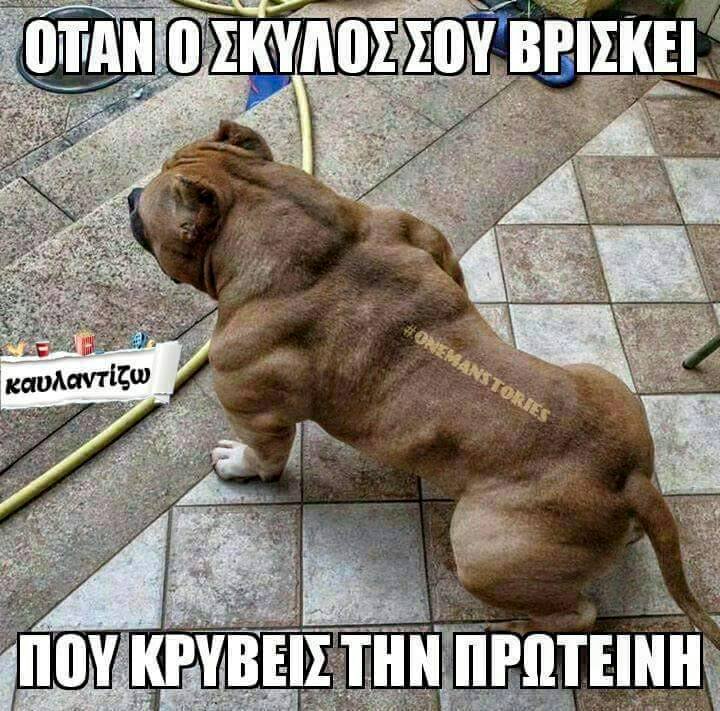 Τα yolo της Τρίτης Τα yolo της Τρίτης