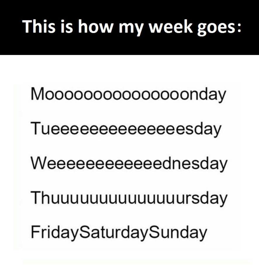 Τα yolo της Τετάρτης