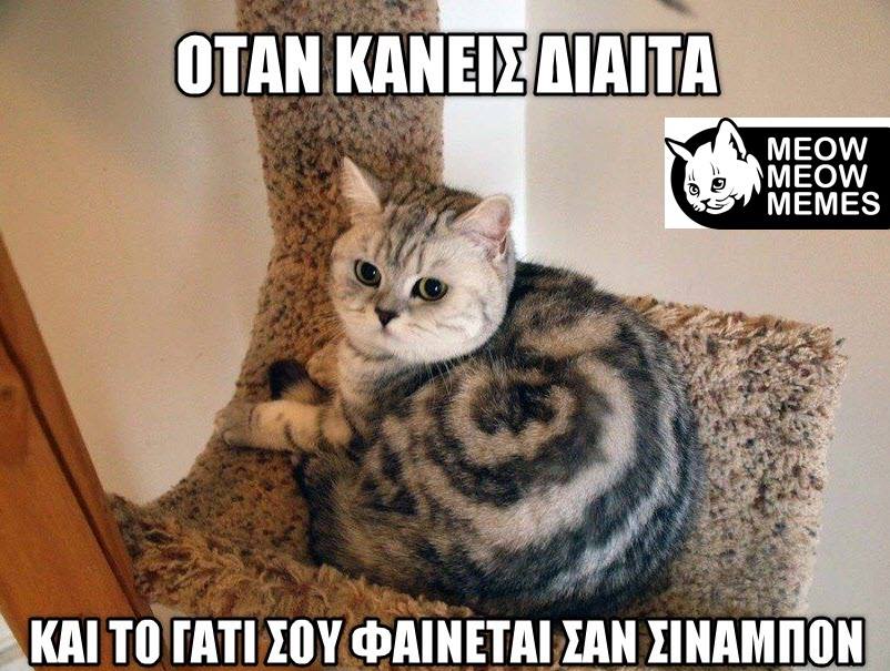 Τα yolo της Τετάρτης